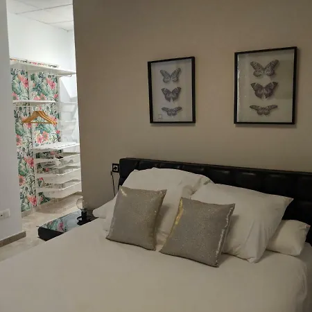 Apartment Arc 4b